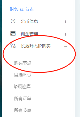 国内外代理IP平台介绍以及使用流程
